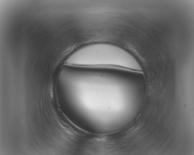 X0000058780068200510071620