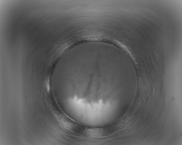 X0000058780069200510071620