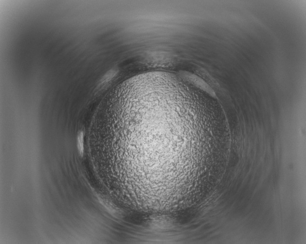 X0000058780070200510071620