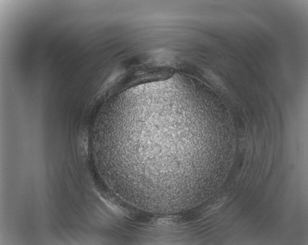 X0000058780072200510071620