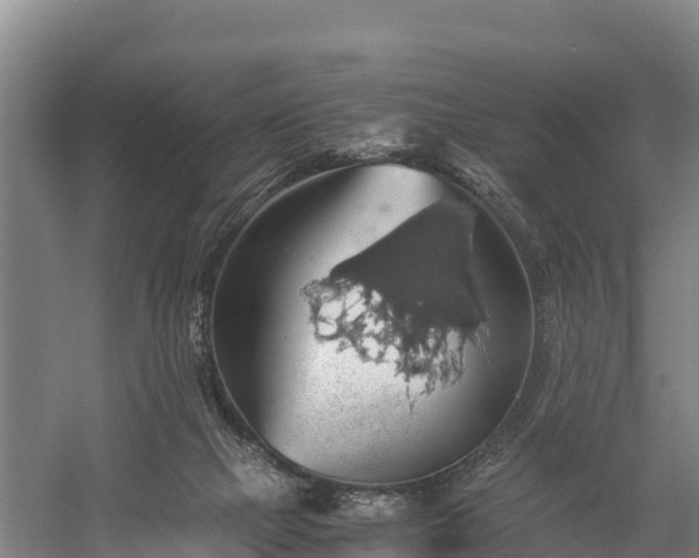 X0000058780073200510071620