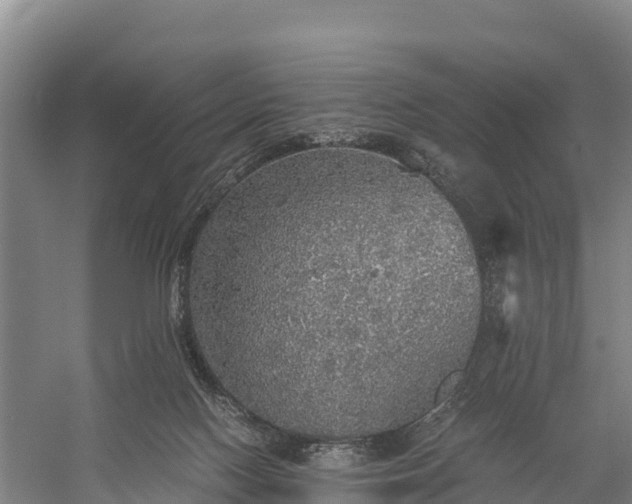 X0000058780074200510071620