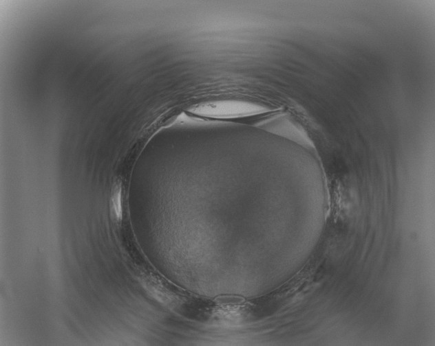 X0000058780076200510071620