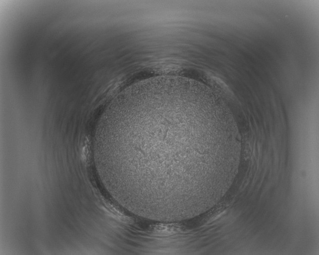 X0000058780077200510071620