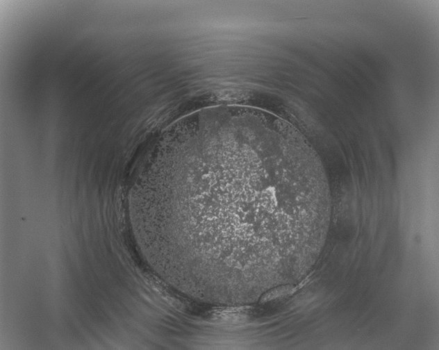 X0000058780078200510071620