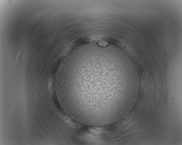 X0000058780079200510071620