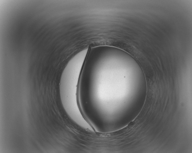 X0000058780080200510071620