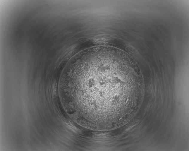 X0000058780081200510071620