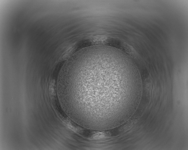 X0000058780083200510071620