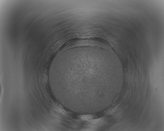 X0000058780085200510071620