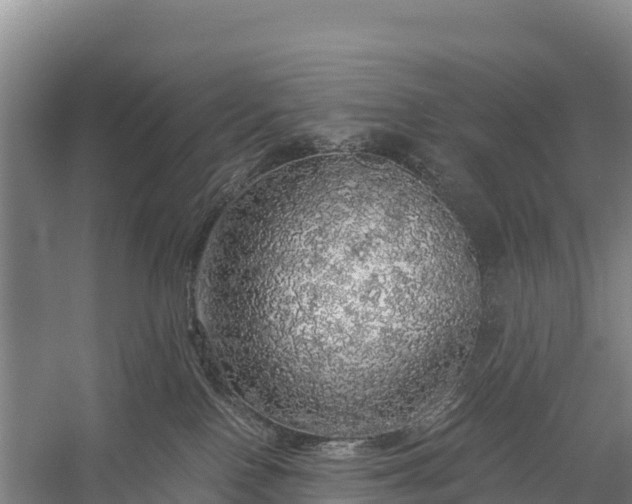 X0000058780090200510071620