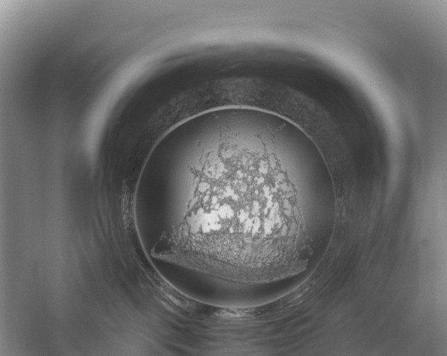 X0000058780093200510071620