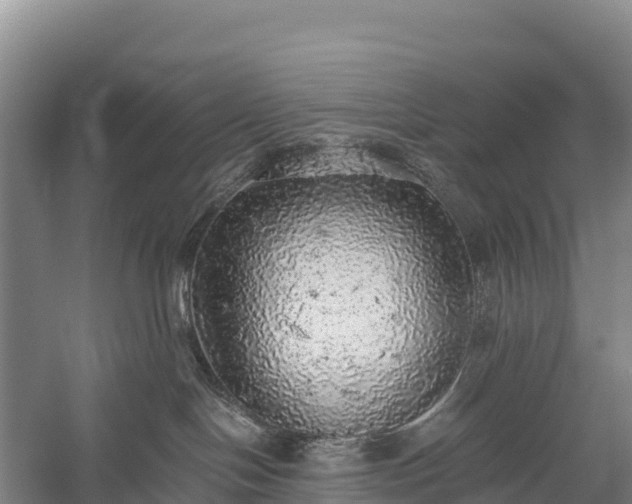 X0000058780094200510071620