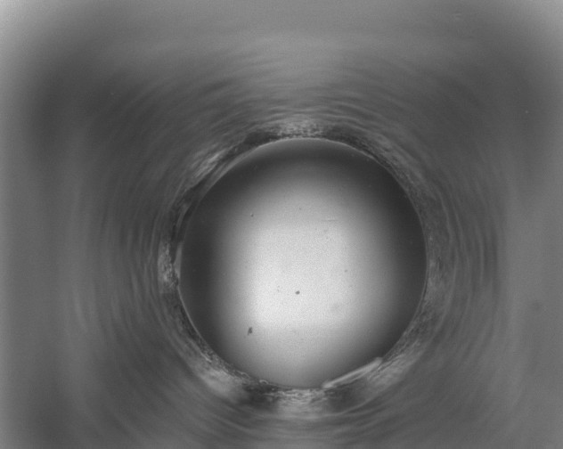 X0000058780096200510071620