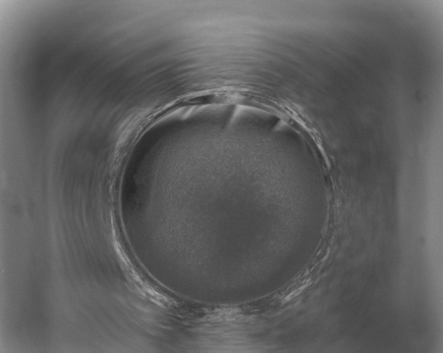 X0000058780097200510071620