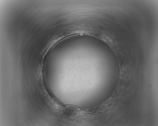 X0000058780098200510071620