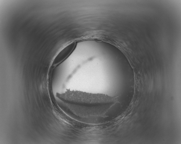 X0000058780100200510071619