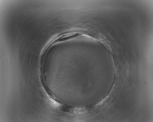 X0000058780101200510071619