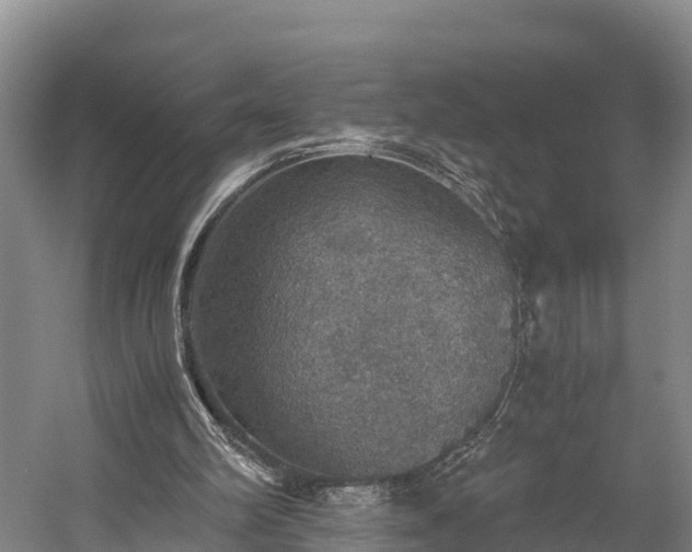 X0000058780102200510071619