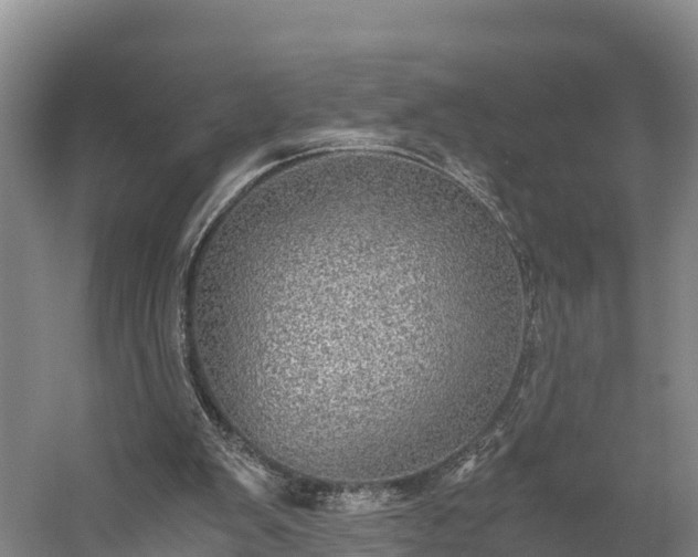 X0000058780103200510071619