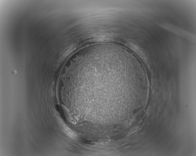 X0000058780105200510071619