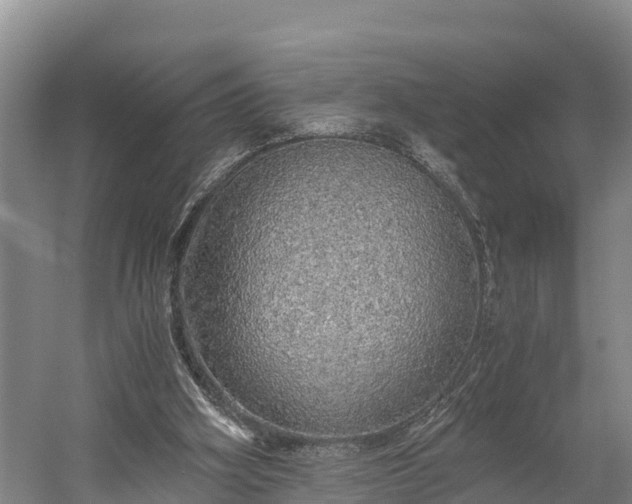 X0000058780106200510071619