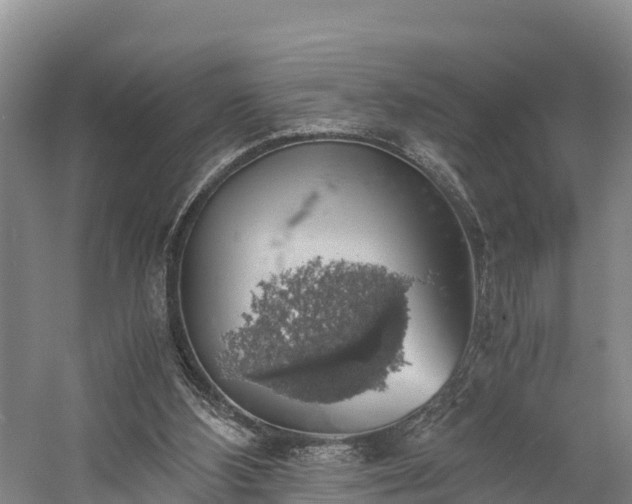 X0000058780108200510071619