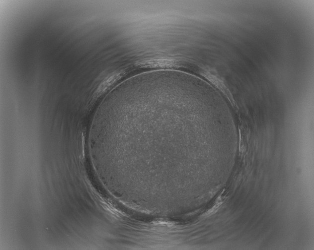 X0000058780109200510071619