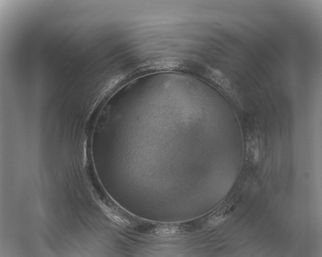 X0000058780110200510071619