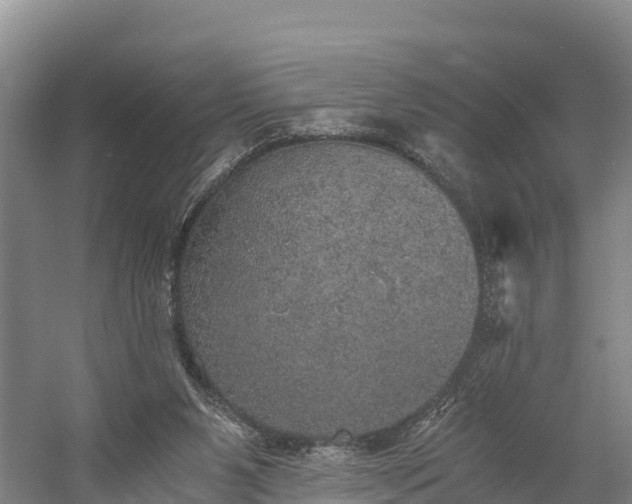 X0000058780111200510071619