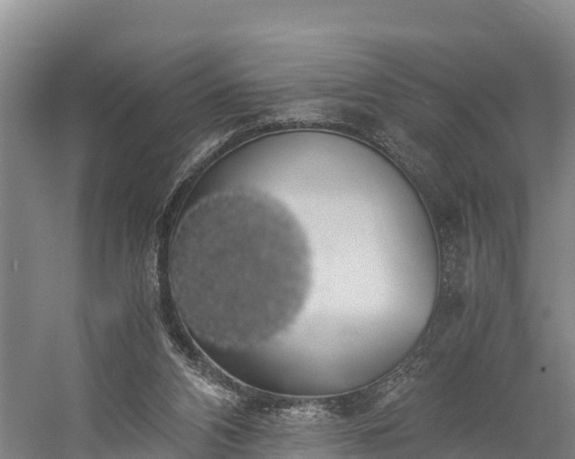 X0000058780112200510071619