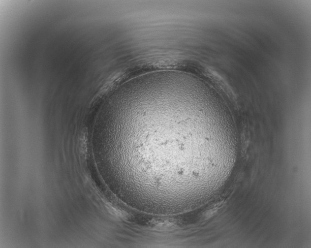 X0000058780113200510071619