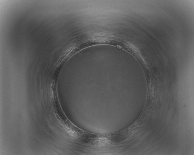 X0000058780114200510071619