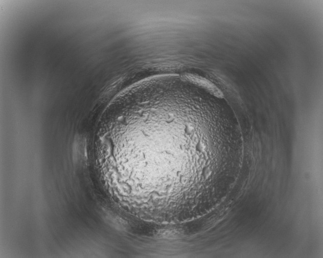 X0000058780115200510071619