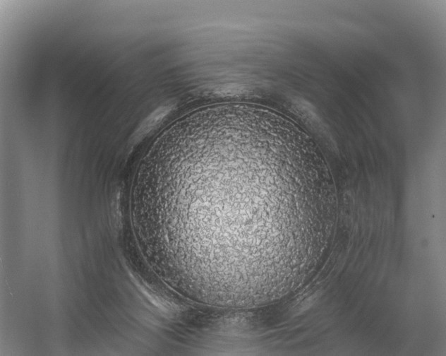 X0000058780116200510071619