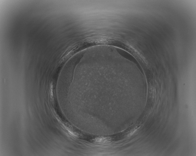 X0000058780117200510071619