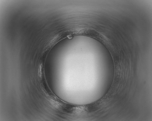 X0000058780118200510071619