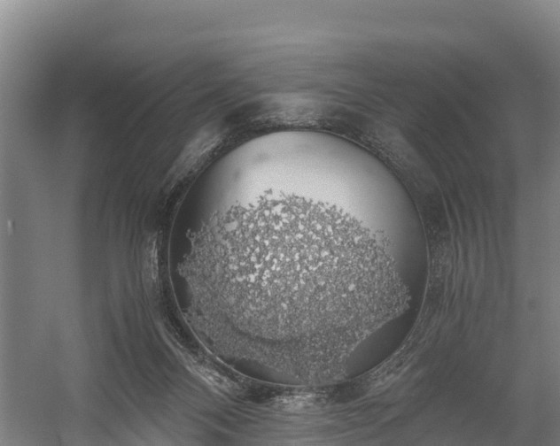 X0000058780120200510071619