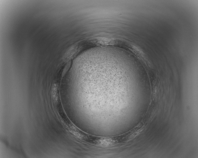 X0000058780121200510071619