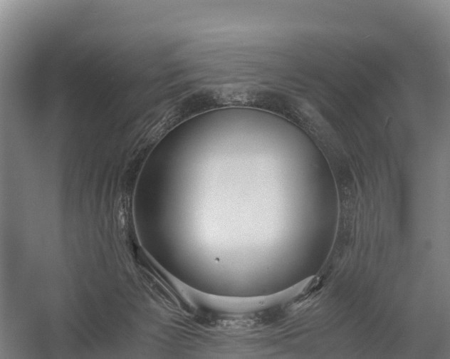 X0000058780125200510071619