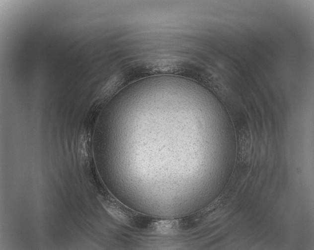 X0000058780126200510071619