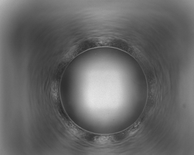 X0000058780129200510071619