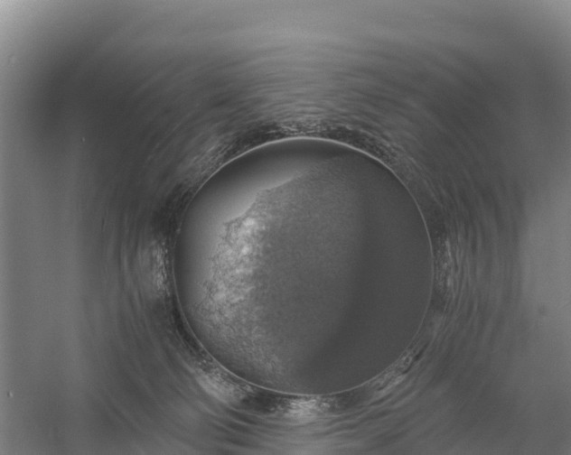 X0000058780130200510071619