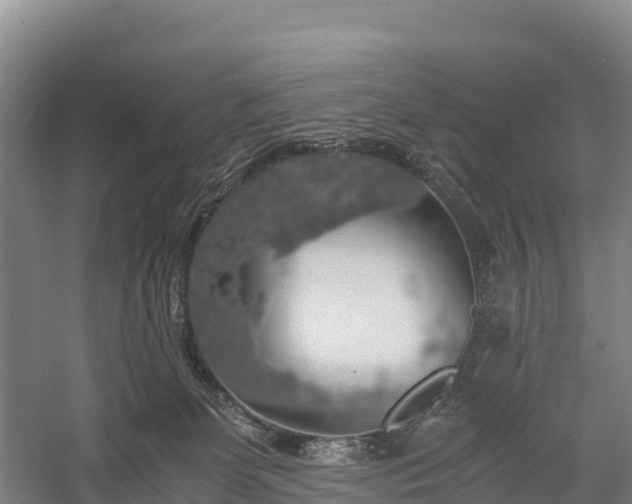 X0000058780131200510071619