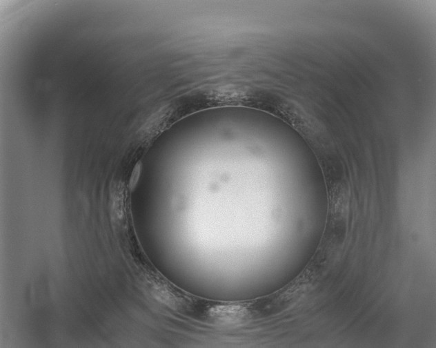 X0000058780133200510071619