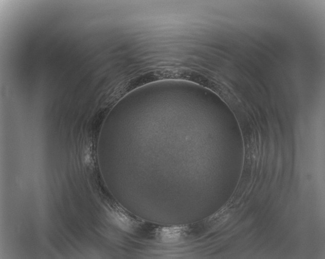 X0000058780134200510071619