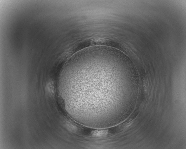 X0000058780135200510071619