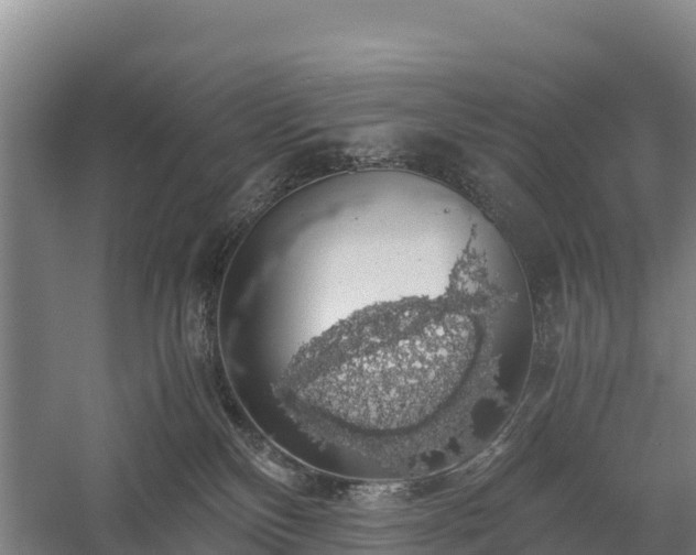 X0000058780136200510071619