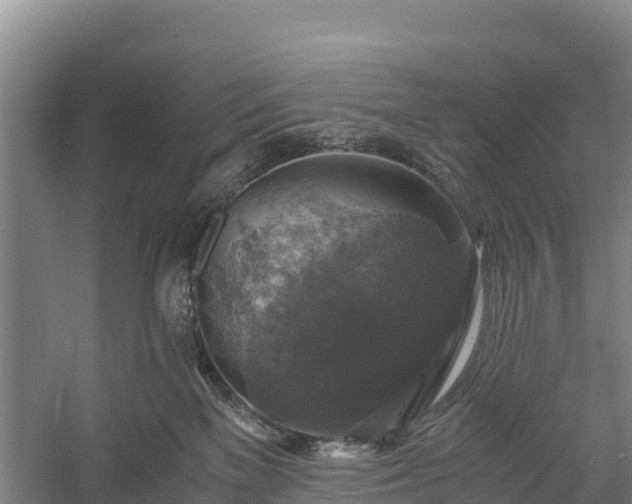 X0000058780137200510071619