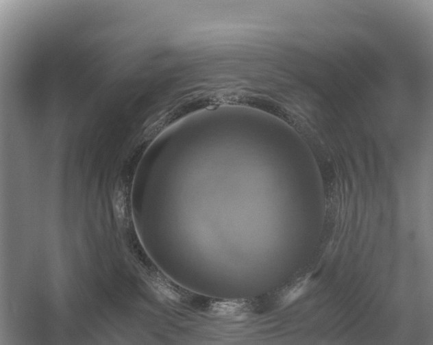 X0000058780139200510071619